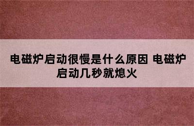 电磁炉启动很慢是什么原因 电磁炉启动几秒就熄火